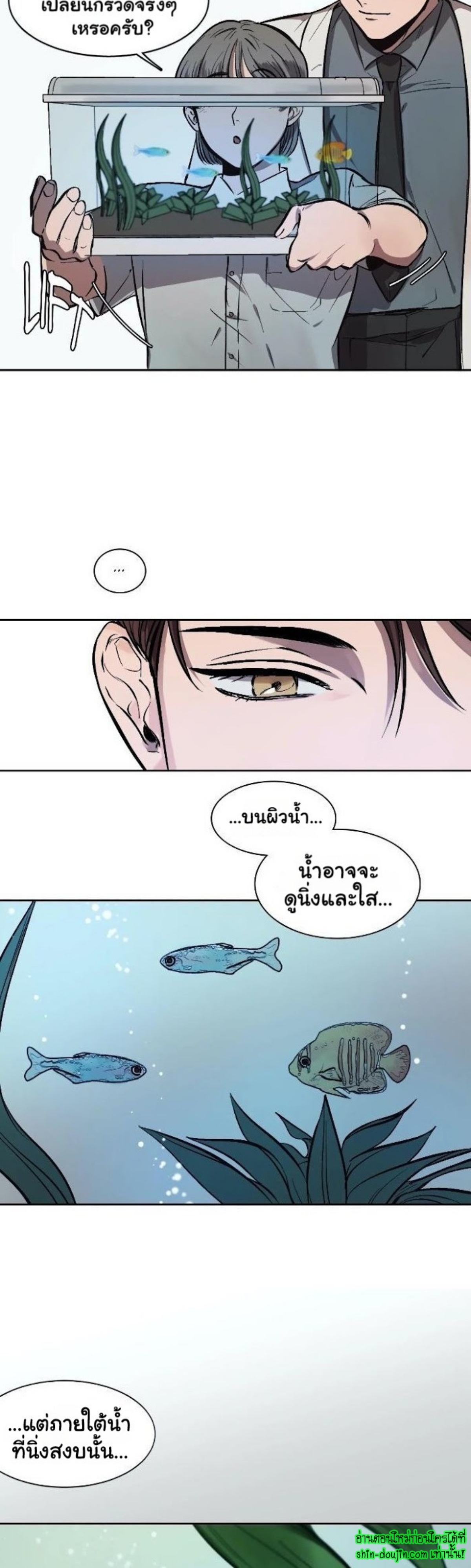 The third perspective EP 5